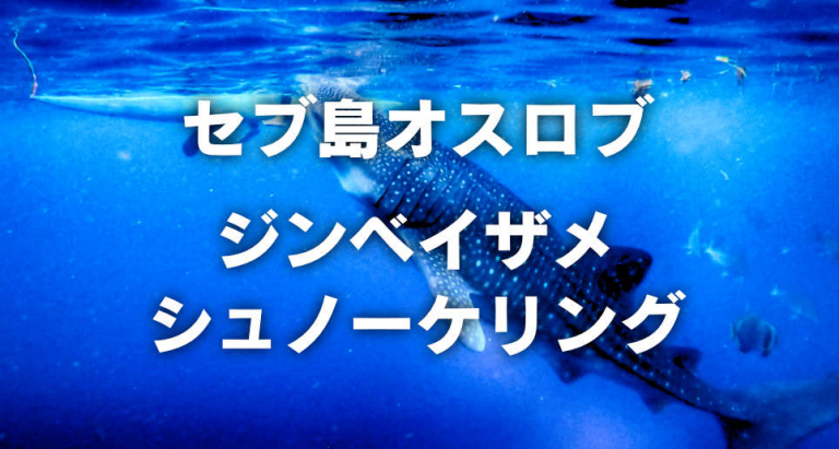 セブ島オスロブ　ジンベイザメシュノーケリング