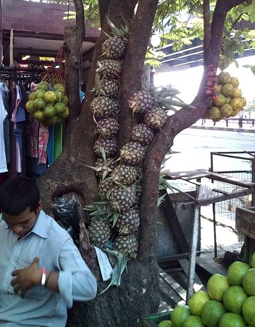 インド人的ミニマリズム