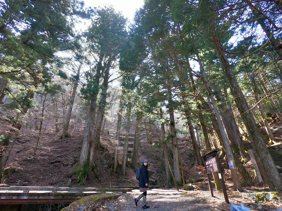 日光 白糸の滝へ続く道