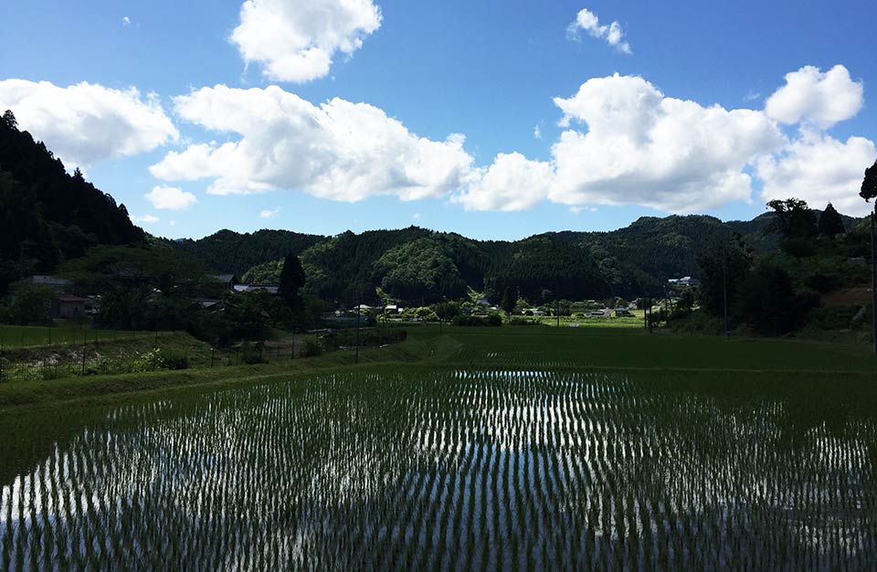 あやべ吉水へ！