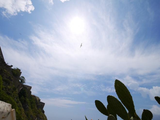 プロチダ島