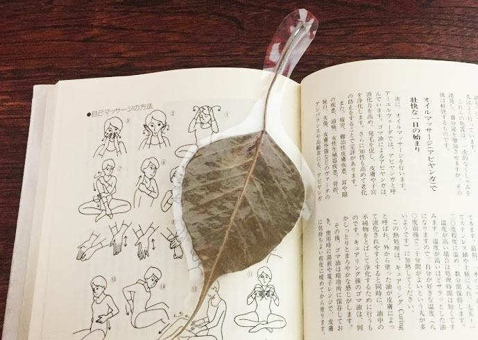 アヌラーダプラの旅