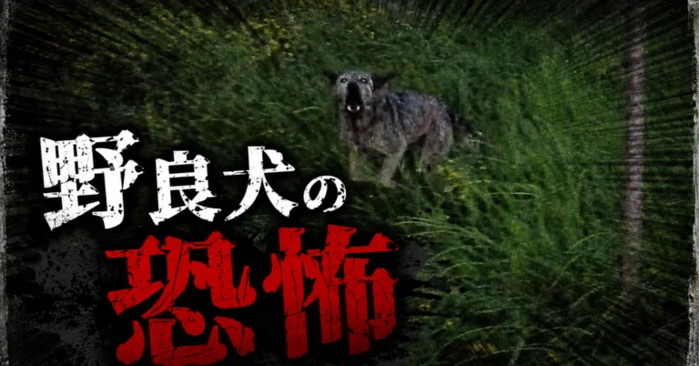 野良犬の恐怖