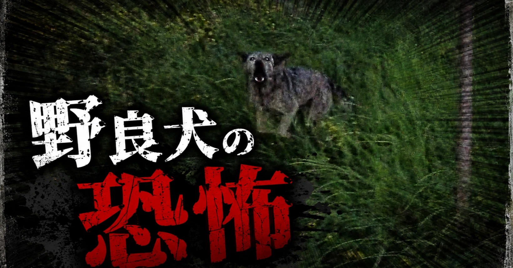 野良犬の恐怖
